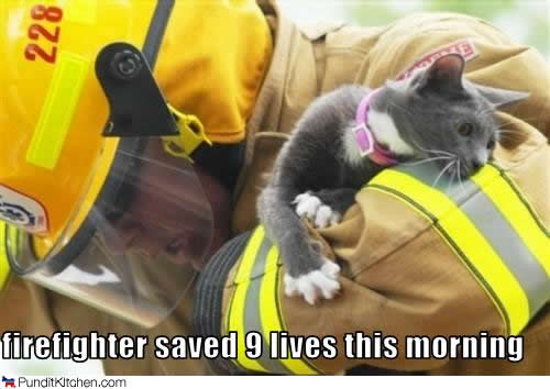 fireman and a lolcat