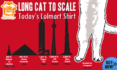 lolmart shirts, long cat design