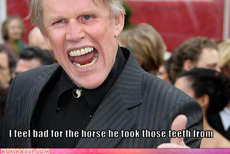 gary busey