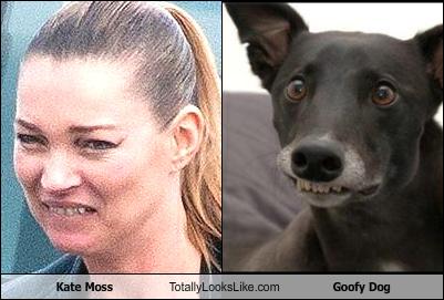 Kate Moss Totally Looks Like a Goofy Dog Look-alike by: carsanchez - 270e8d51e-goofy-dog