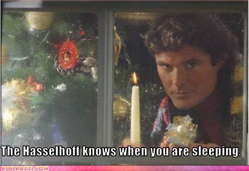 david hasselhoff