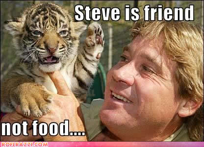 steve irwin