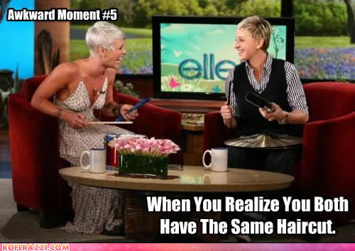 pink and ellen degeneres