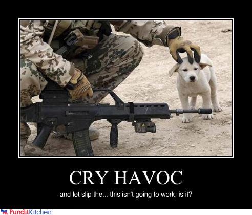 political pictures - CRY HAVOC