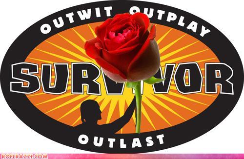 Survivor + Bachelor = Romance?