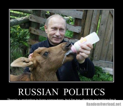 https://randomoverload.org/wp-content/uploads/2012/02/063btical-pictures-vladimir-putin-russian-politics.jpg