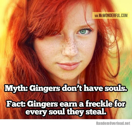 Fact About Gingers Randomoverload