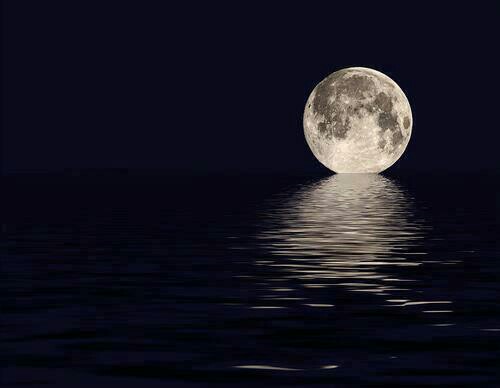 The Moon Kissing The Ocean Randomoverload