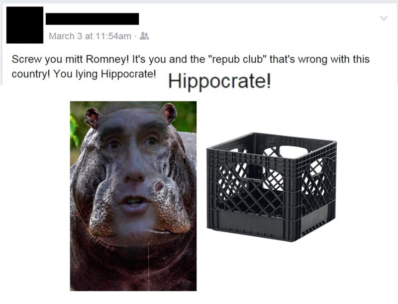 pun,Mitt Romney,facebook,politics