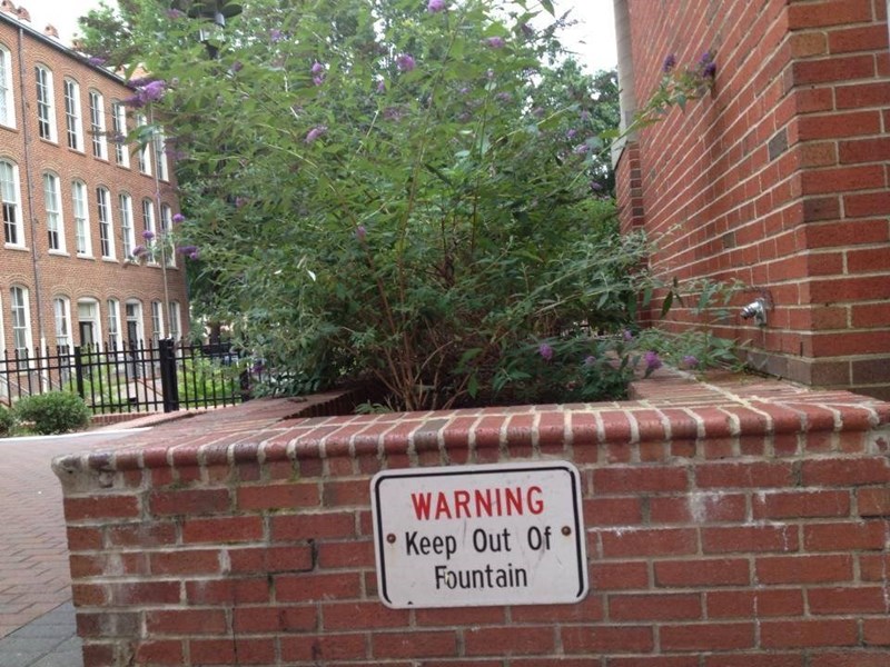 Leaf This Fountain Alone