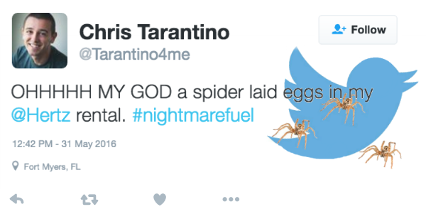 spiders,wtf,live tweeting,list,nope,rental car,cars