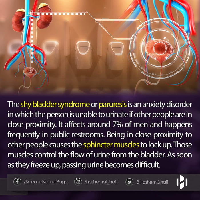 the-shy-bladder-syndrome-randomoverload